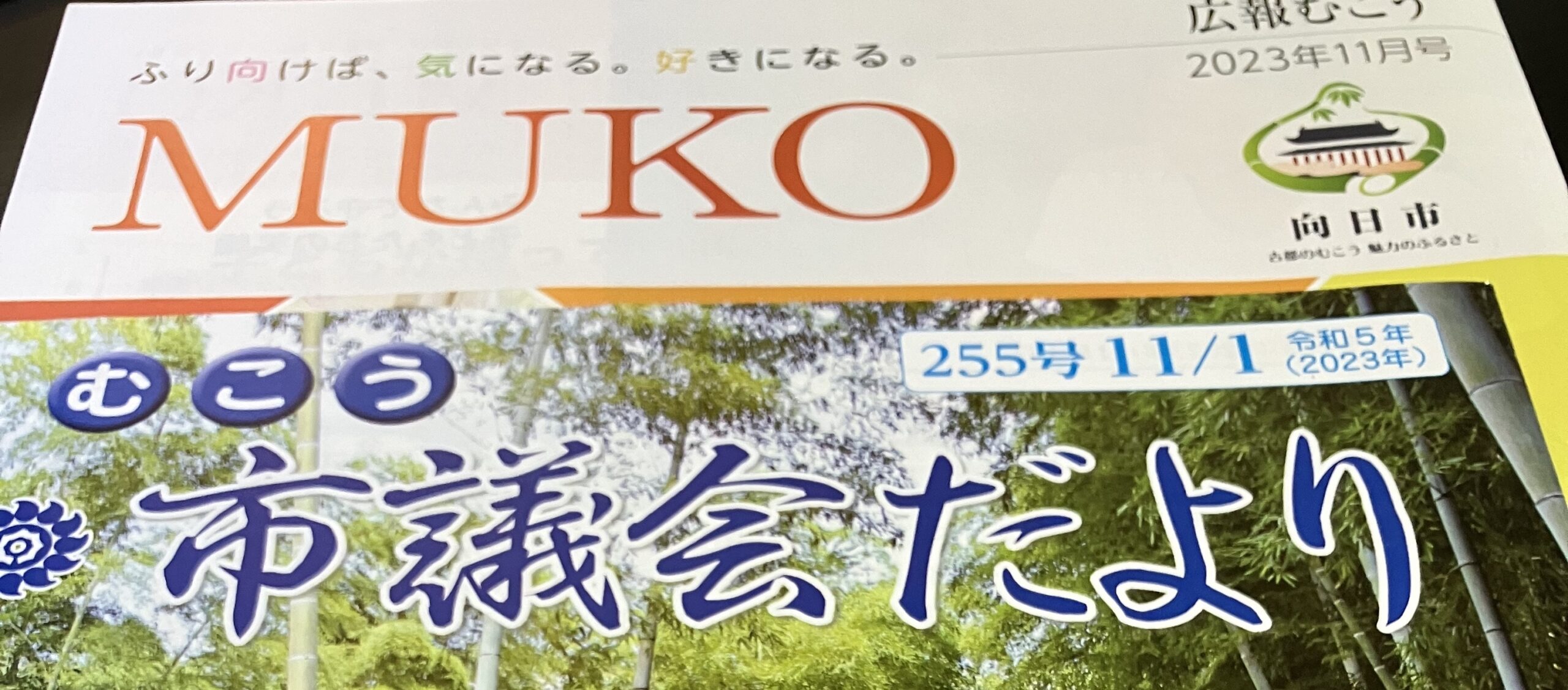 中学生に広報・議会だより等を配付しては？